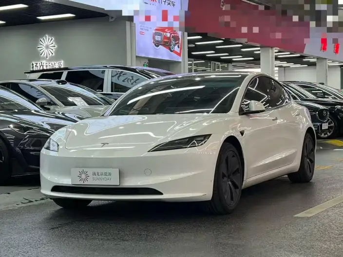 Model 3 2025 Model Facelift Rear-wheel drive version – фото 1