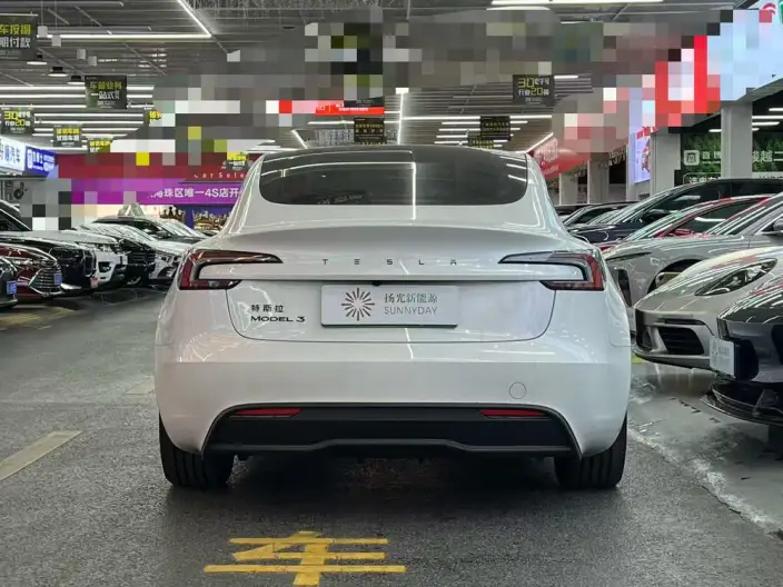 Model 3 2025 Model Facelift Rear-wheel drive version – фото 5