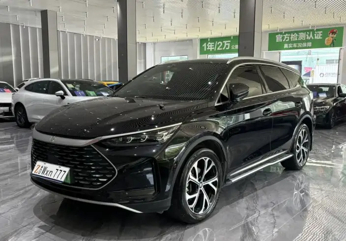 BYD Tang DM 2025 Model DM-i 115KM Zunrong Model – фото 1