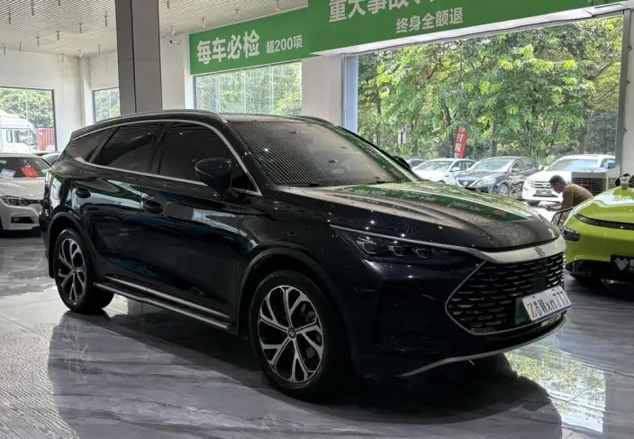BYD Tang DM 2025 Model DM-i 115KM Zunrong Model – фото 3