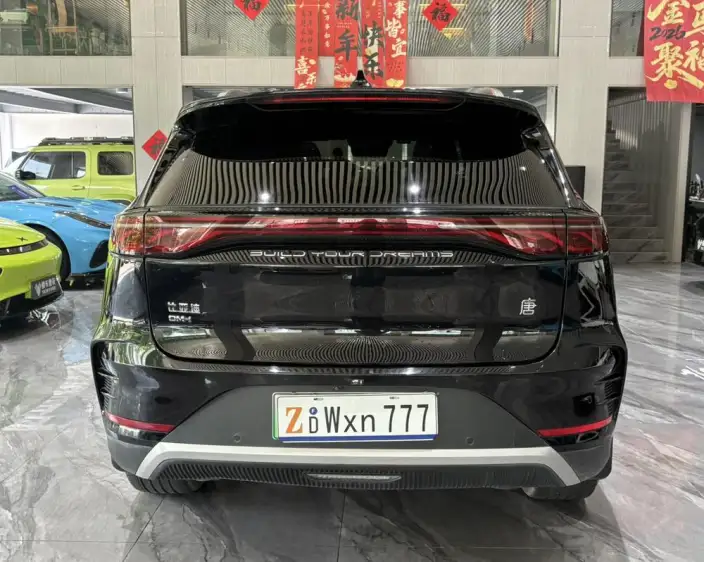 BYD Tang DM 2025 Model DM-i 115KM Zunrong Model – фото 5