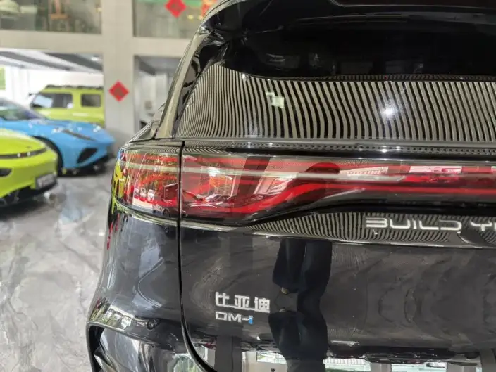 BYD Tang DM 2025 Model DM-i 115KM Zunrong Model – фото 8