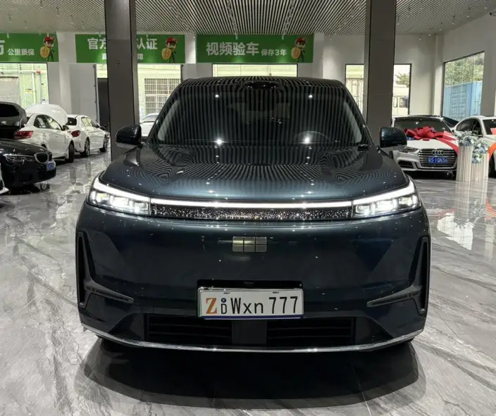 Geely M9 2025 Model 230km 2WD Tiggo Edition – фото 2