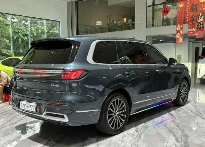 Geely M9 2025 Model 230km 2WD Tiggo Edition – фото 6