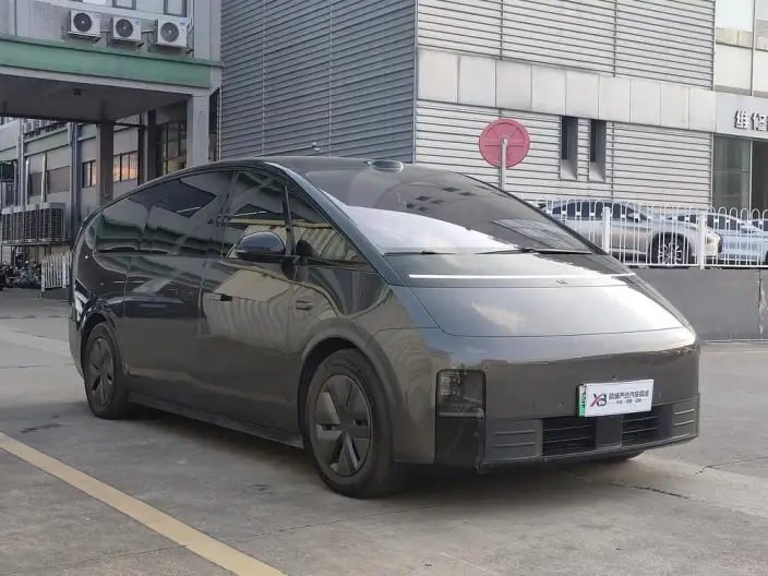 Li Auto MEGA 2025 Model Home Family Special Edition – фото 3