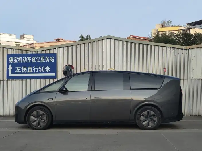 Li Auto MEGA 2025 Model Home Family Special Edition – фото 4
