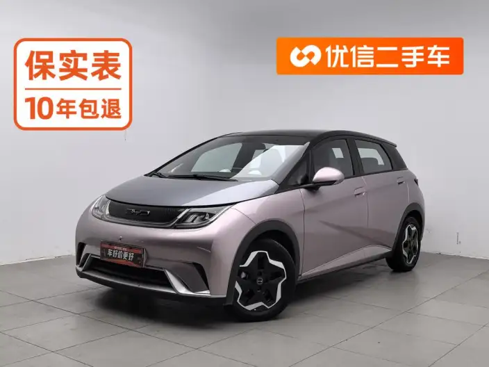 BYD Dolphin 2021 Model Fashion Edition – фото 1