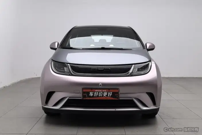 BYD Dolphin 2021 Model Fashion Edition – фото 2