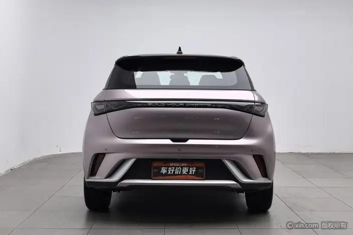 BYD Dolphin 2021 Model Fashion Edition – фото 3