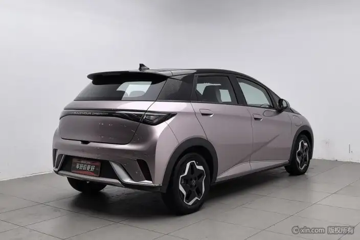 BYD Dolphin 2021 Model Fashion Edition – фото 4