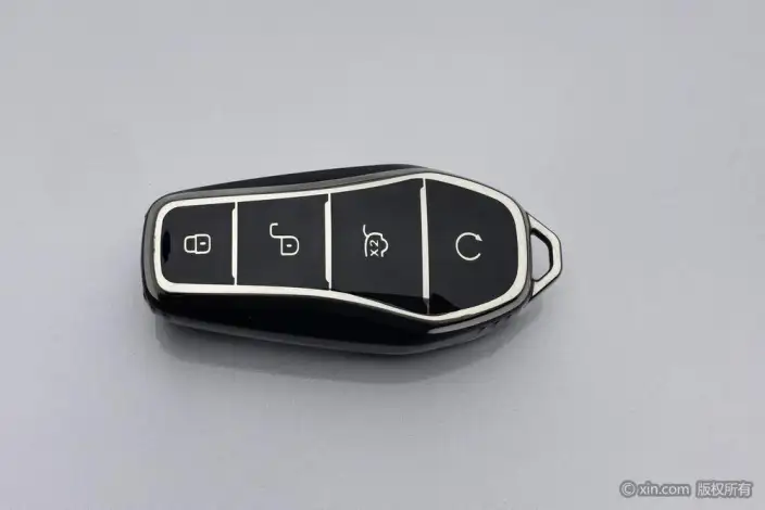 BYD Han DM 2023 Model DM-i Champion Edition 121KM Zunrong Model – фото 6
