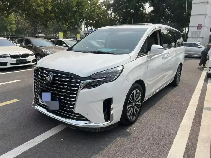 Buick GL8 2023 Model ES Luzun 2.0T Flagship Model – фото 1