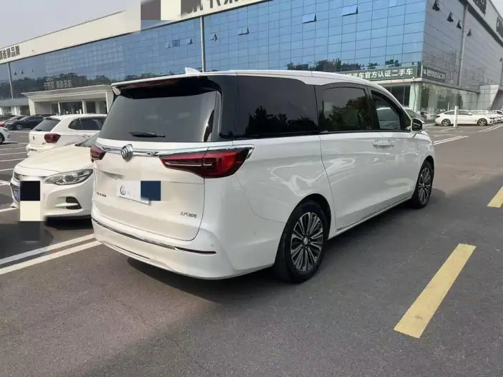 Buick GL8 2023 Model ES Luzun 2.0T Flagship Model – фото 5