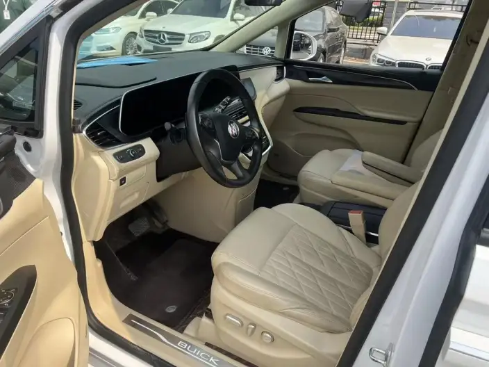 Buick GL8 2023 Model ES Luzun 2.0T Flagship Model – фото 9