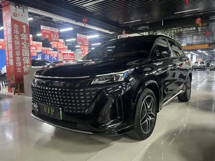 Blue Electric E5 2024 Model Honor Edition 100km Zhen Xiang Model – фото 1