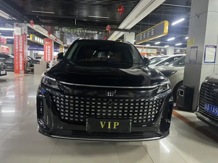 Blue Electric E5 2024 Model Honor Edition 100km Zhen Xiang Model – фото 2