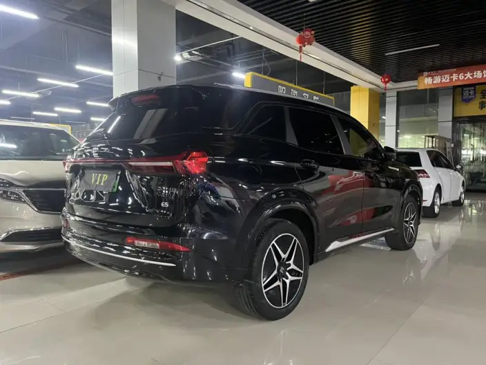 Blue Electric E5 2024 Model Honor Edition 100km Zhen Xiang Model – фото 4