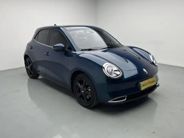 ORA Good Cat 2024 Model 401km Luxury Model
