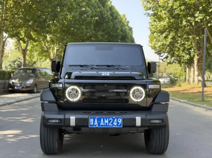 212 T01 2025 Model 2.0T Diesel Edition