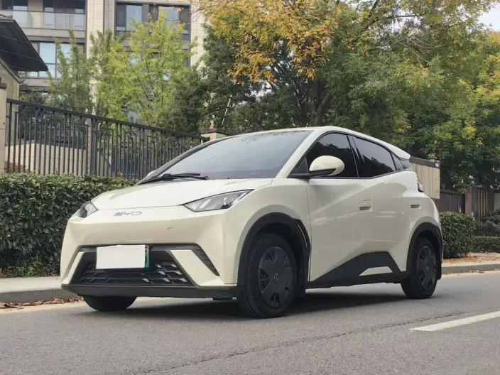 BYD Seagull 2023 Model Vitality Edition – фото 1