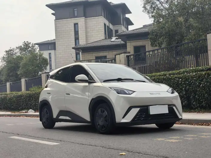 BYD Seagull 2023 Model Vitality Edition – фото 3