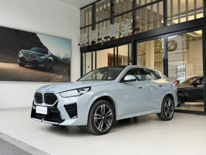 BMW X2 Imported 2024 Model sDrive25i M Sports Set – фото 1