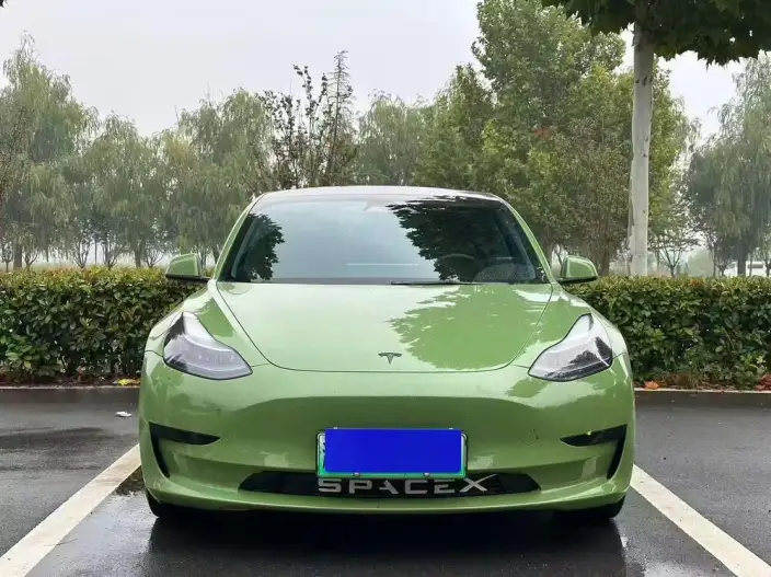 Model 3 2022 Model Rear-wheel drive version – фото 2