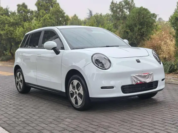 JAC Yiwei 3 2024 Model Zhiai Edition 330km Lite – фото 3