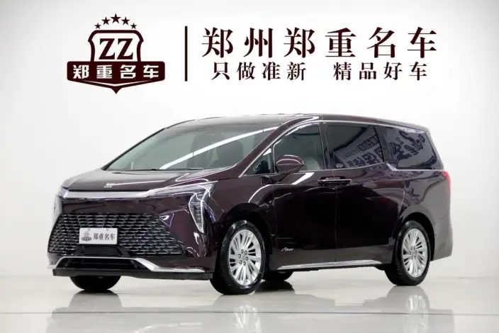 Century 2023 Model 2.0T VII seat Yunshi Edition – фото 1