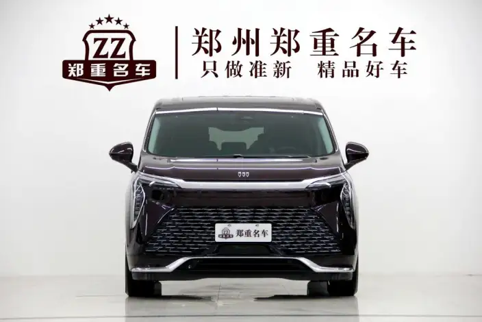 Century 2023 Model 2.0T VII seat Yunshi Edition – фото 2
