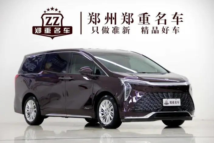 Century 2023 Model 2.0T VII seat Yunshi Edition – фото 3