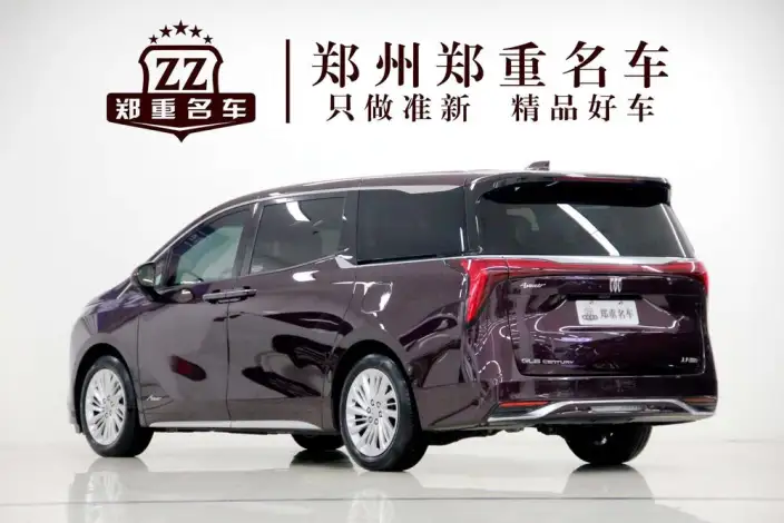 Century 2023 Model 2.0T VII seat Yunshi Edition – фото 4
