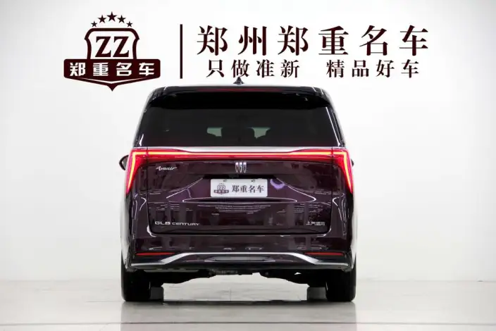 Century 2023 Model 2.0T VII seat Yunshi Edition – фото 5