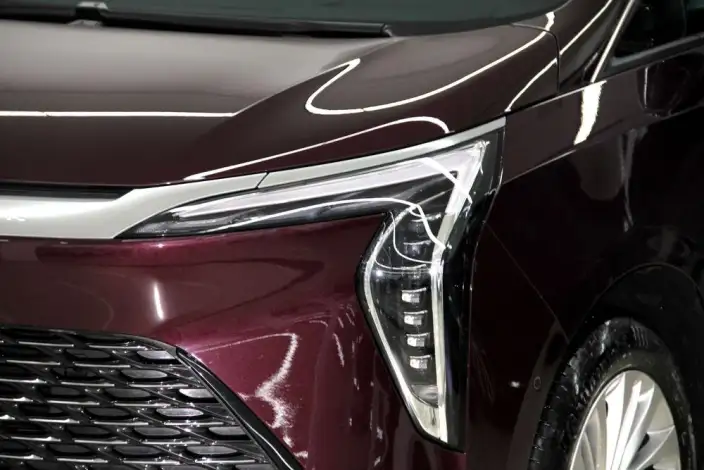 Century 2023 Model 2.0T VII seat Yunshi Edition – фото 8