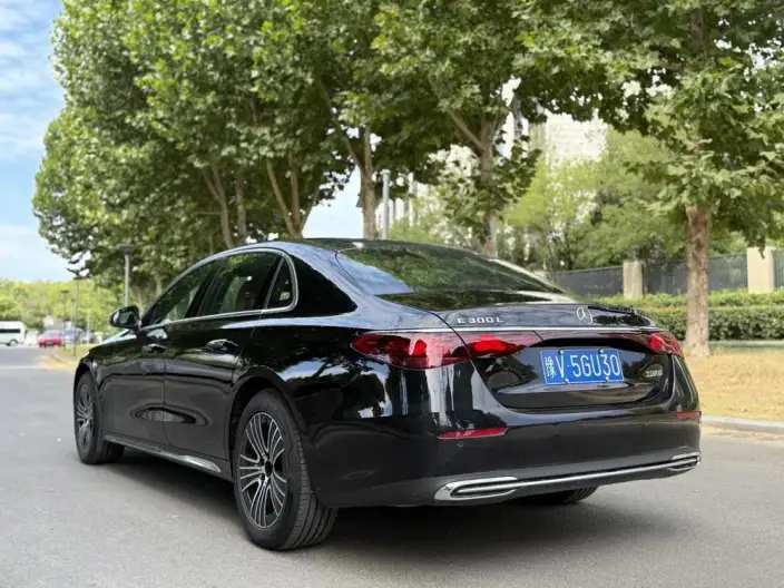 Mercedes-Benz E-Class 2026 Model E 260 L Classic Edition – фото 4