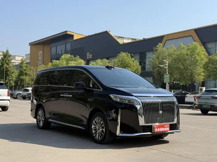 Wey Gaoshan P HEV 2025 Model 4WD Wey Gaoshan 8