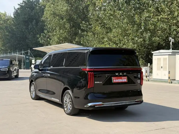 Wey Gaoshan P HEV 2025 Model 4WD Wey Gaoshan 8