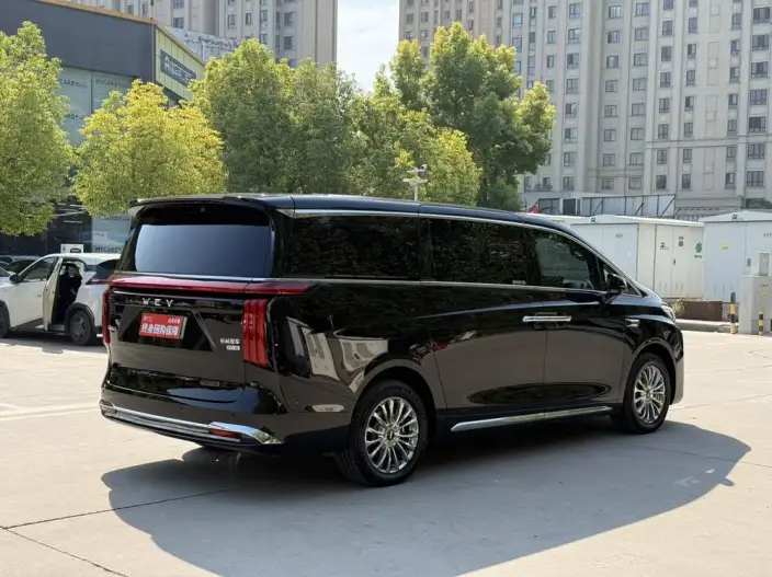 Wey Gaoshan P HEV 2025 Model 4WD Wey Gaoshan 8 – фото 6