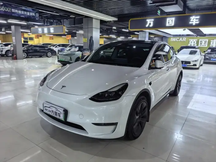 Model Y 2024 Model Long Battery Life Pro All-wheel drive version – фото 1
