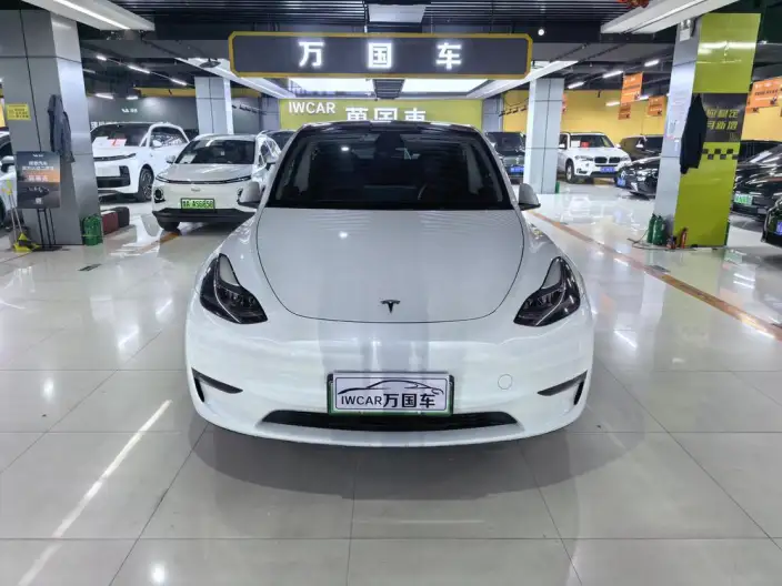 Model Y 2024 Model Long Battery Life Pro All-wheel drive version – фото 2