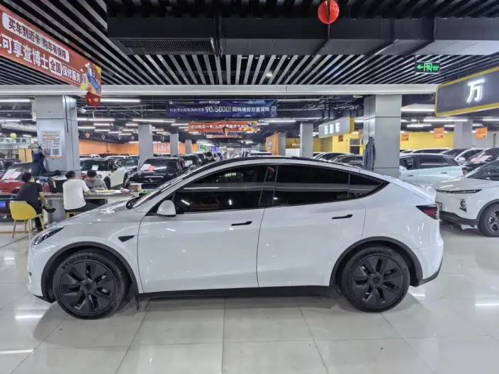 Model Y 2024 Model Long Battery Life Pro All-wheel drive version – фото 3