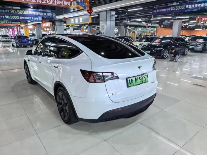 Model Y 2024 Model Long Battery Life Pro All-wheel drive version – фото 4