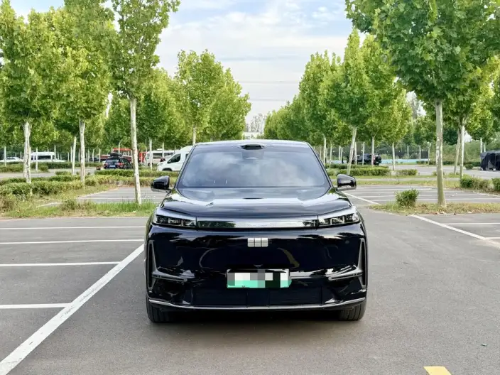 Geely M9 2025 Model 210km 4WD Pilot Edition – фото 2
