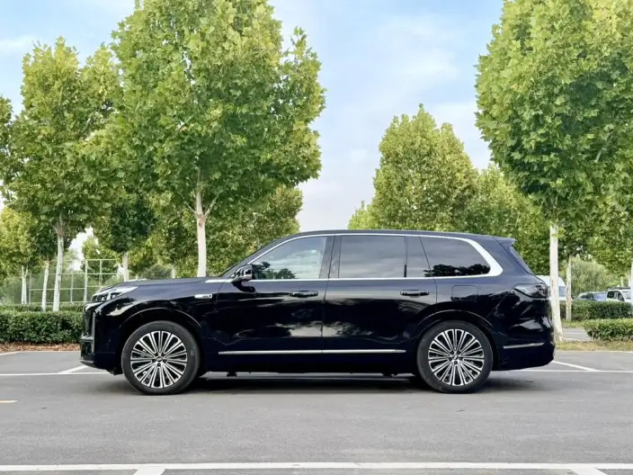Geely M9 2025 Model 210km 4WD Pilot Edition – фото 3