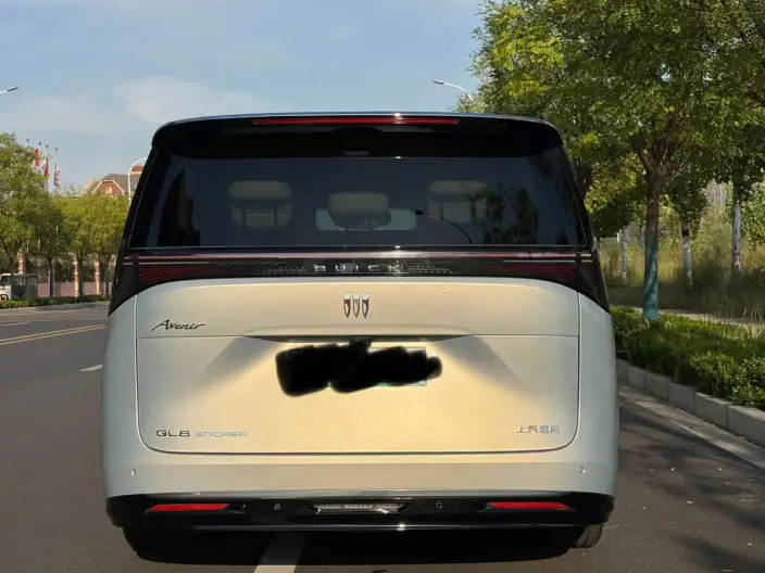 Buick Zhijing Electra Shijia 2026 Model Exclusive Edition – фото 5