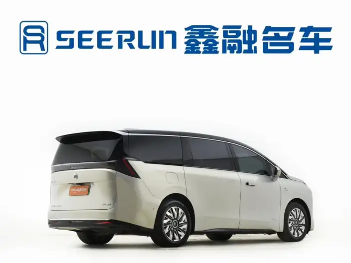 Buick Zhijing Electra Shijia 2026 Model Exclusive Edition – фото 6