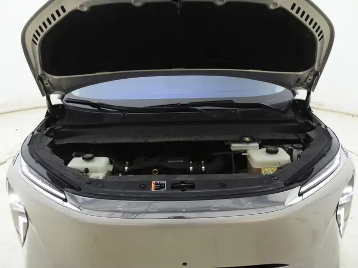 Buick Zhijing Electra Shijia 2026 Model Exclusive Edition – фото 7