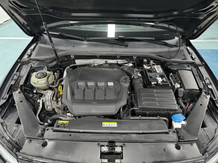 Volkswagen Magotan 2020 Model 330TSI DSG Leading Model – фото 10