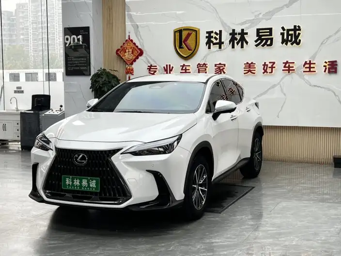 Lexus NX 2022 Model 260 Qian Drive Innovation Drive Edition – фото 1