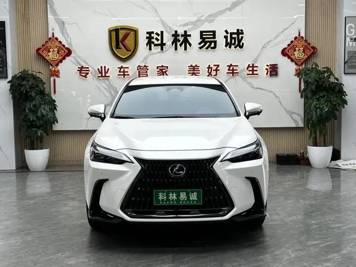 Lexus NX 2022 Model 260 Qian Drive Innovation Drive Edition – фото 2